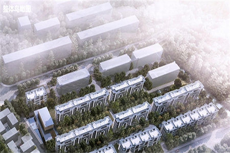 市中区海天泰和园6室4厅4卫246平米